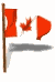 Alliance Appraisal Group Canada 